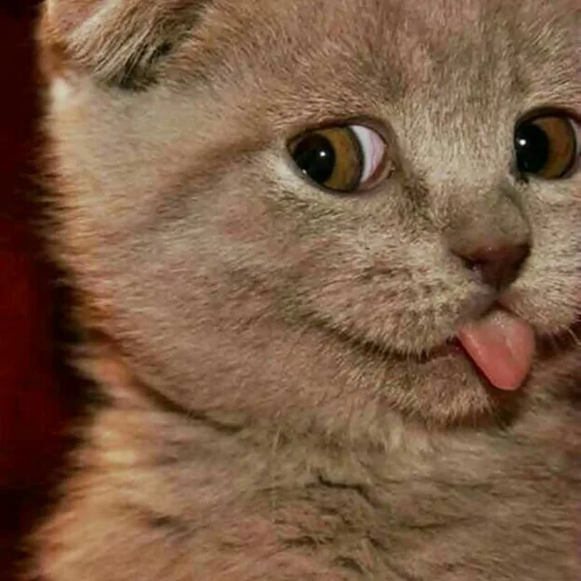 꼬봉이아빠