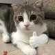 칠백원