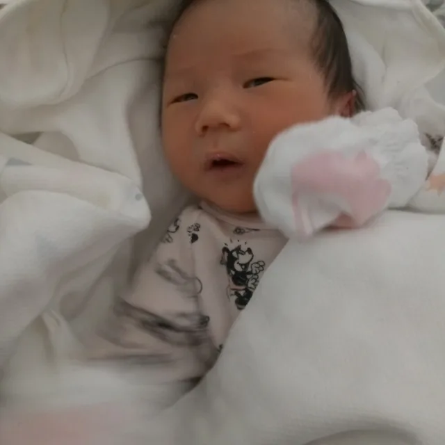 북삼