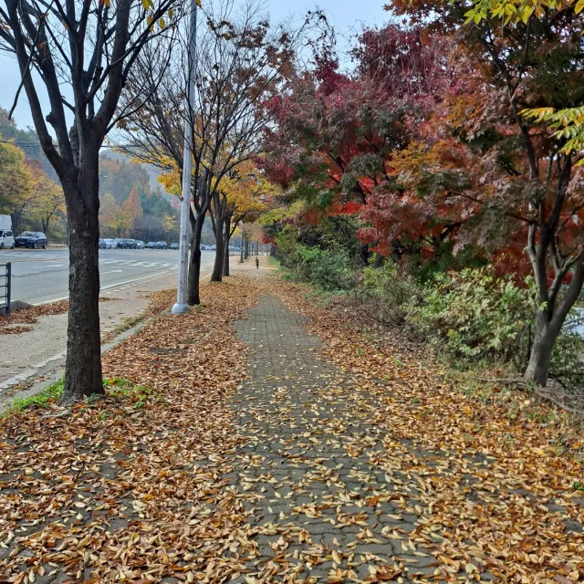 매nner있게