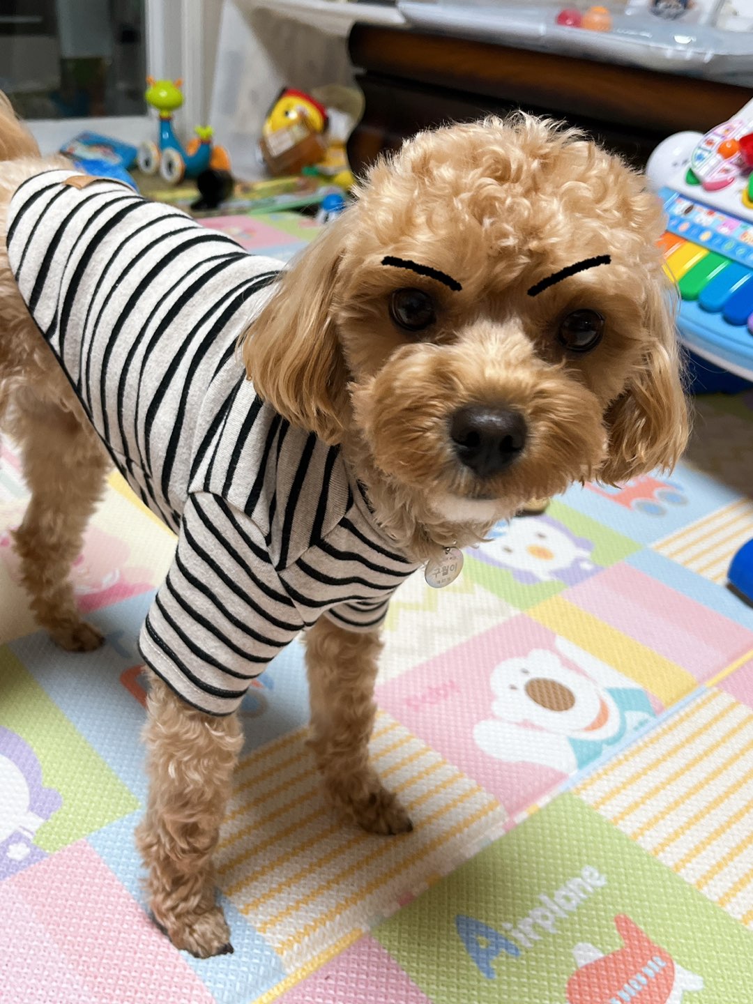구월맘