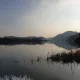 당근이지