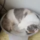 친절한순심이