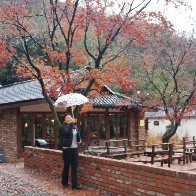 방패순