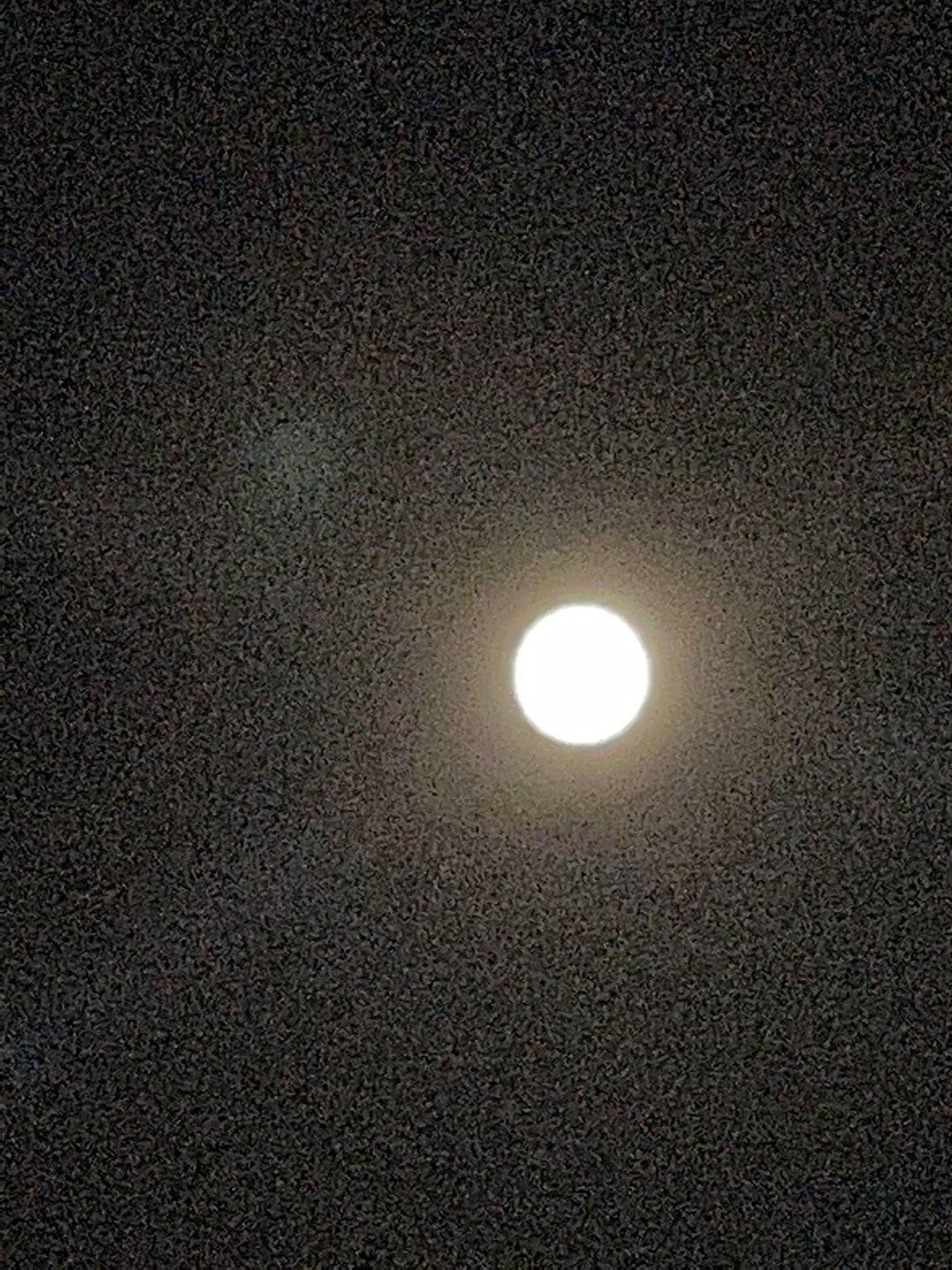 후후