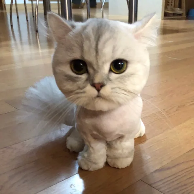 뾰로롱