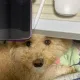즐거운라라