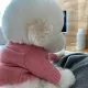 테어듀어