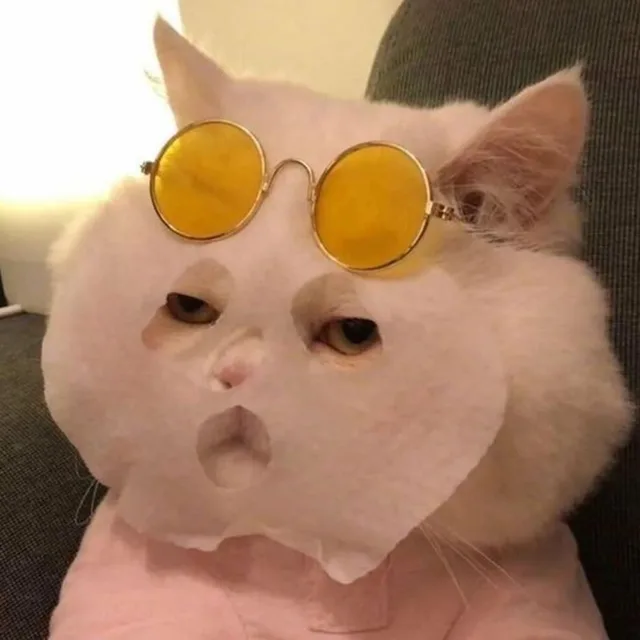 당근사야지