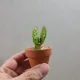 식집사