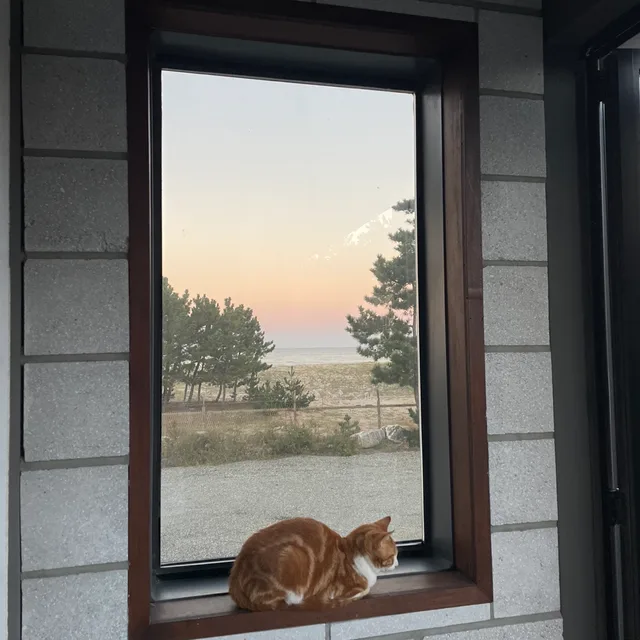 냥냥냥