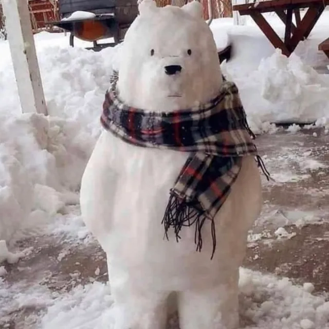 바니숑숑
