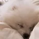 림림
