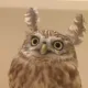 으유유유