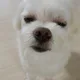 여름이