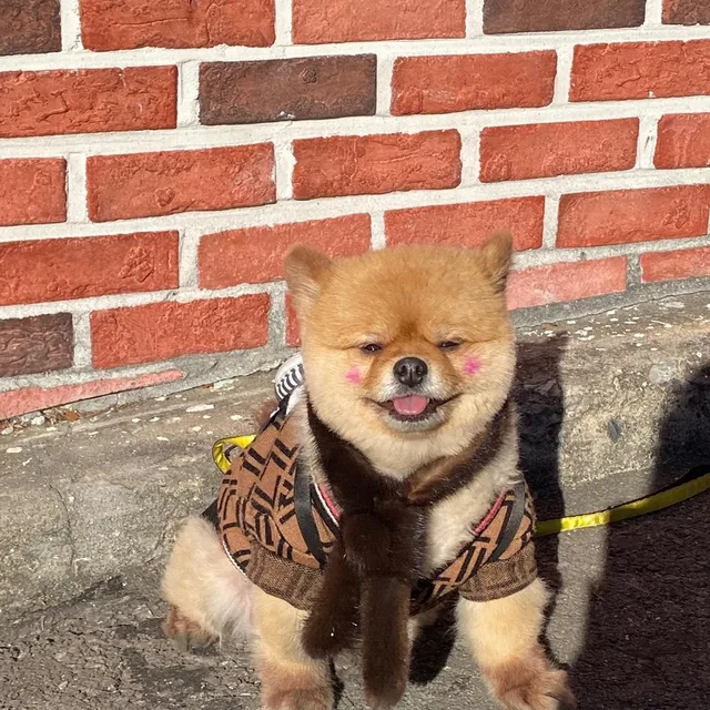 예인