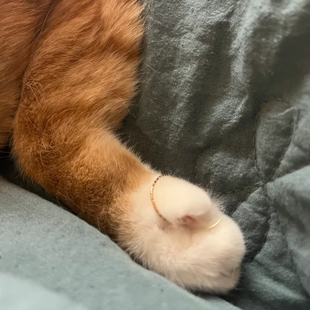 이응