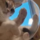 버터맘