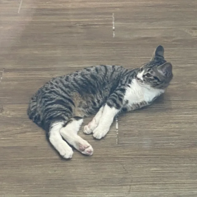 꽁꽁
