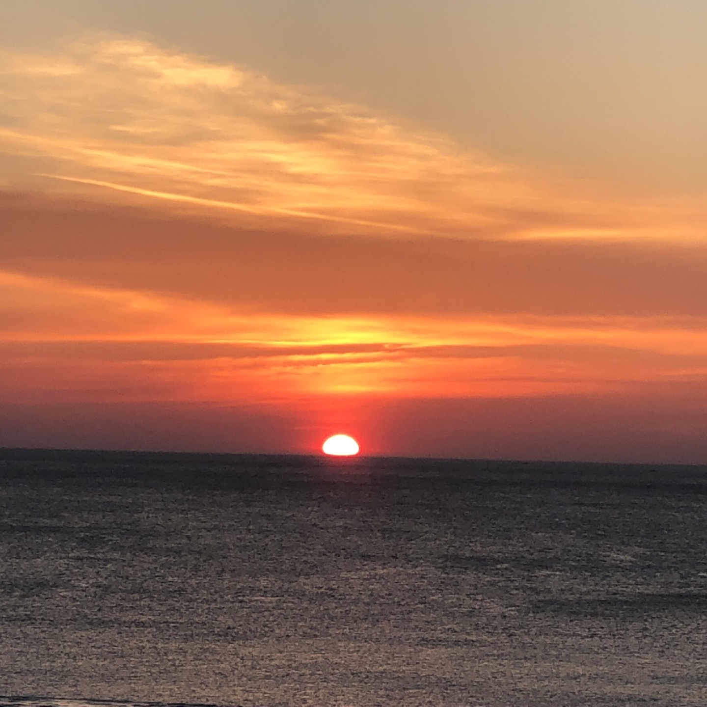 동해바다짱