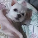 재통이