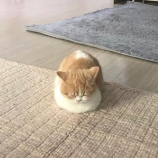 냠냐미
