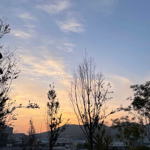 기린이
