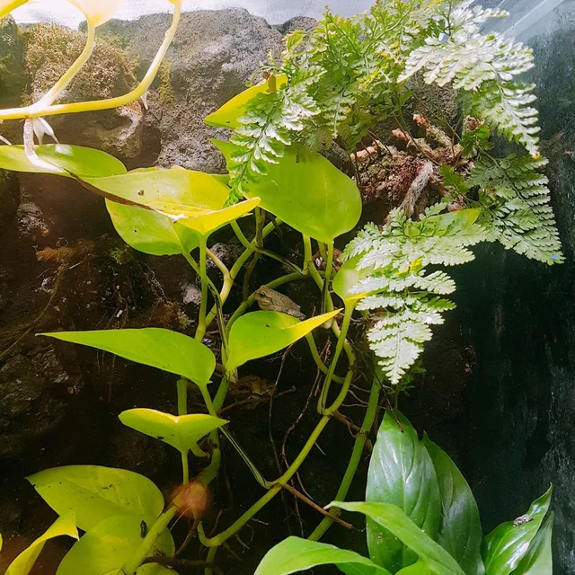 행복하세요