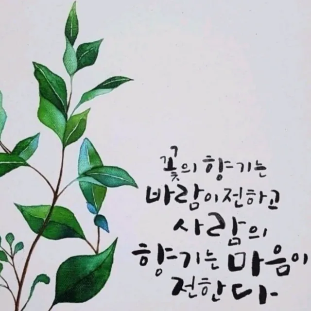 꽃보다다육