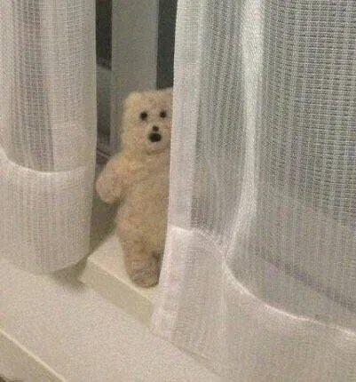 oo