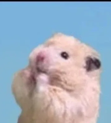 제리