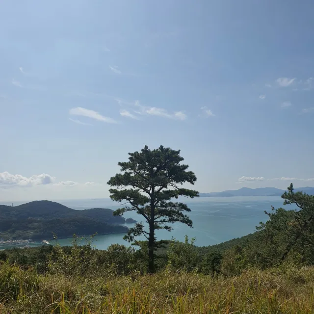잘부탁드립니다