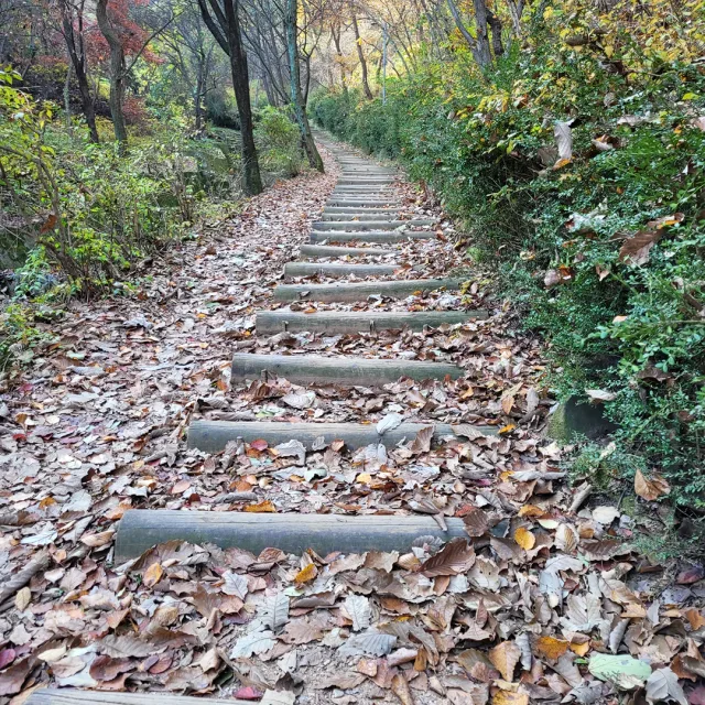 뽀로로