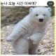 원투빵빵