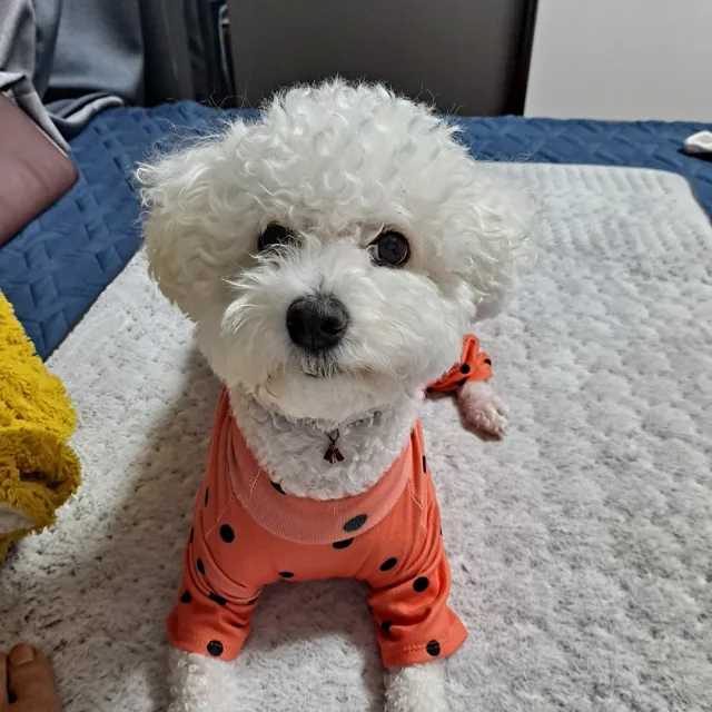 방울