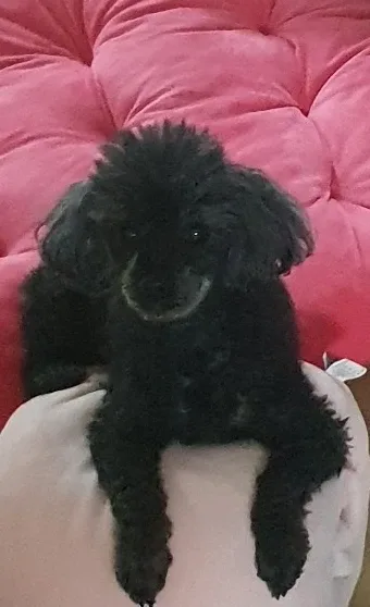 땡땡땡