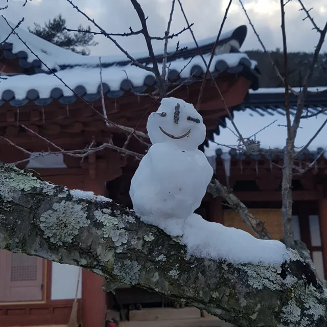 산세