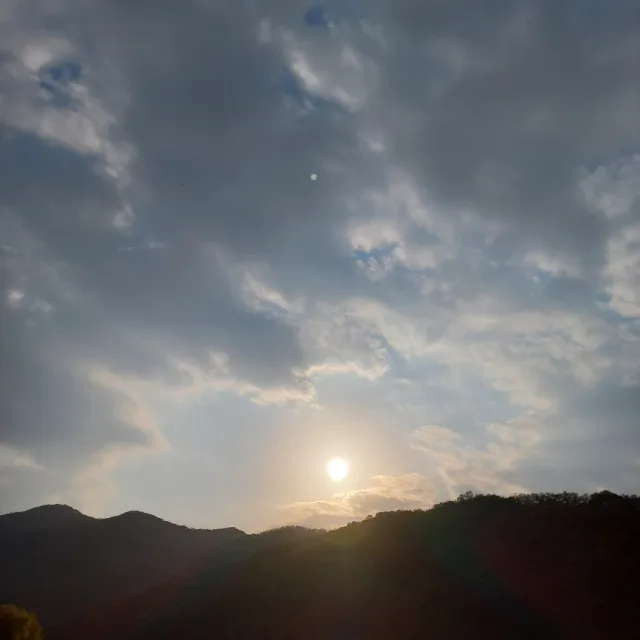 엄수연