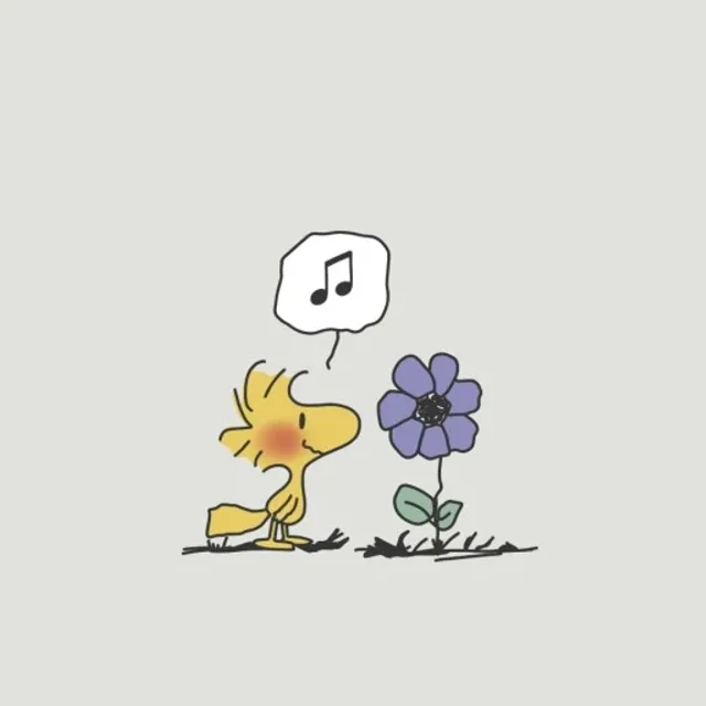 밤밤
