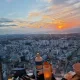 과일나라