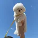 헤이
