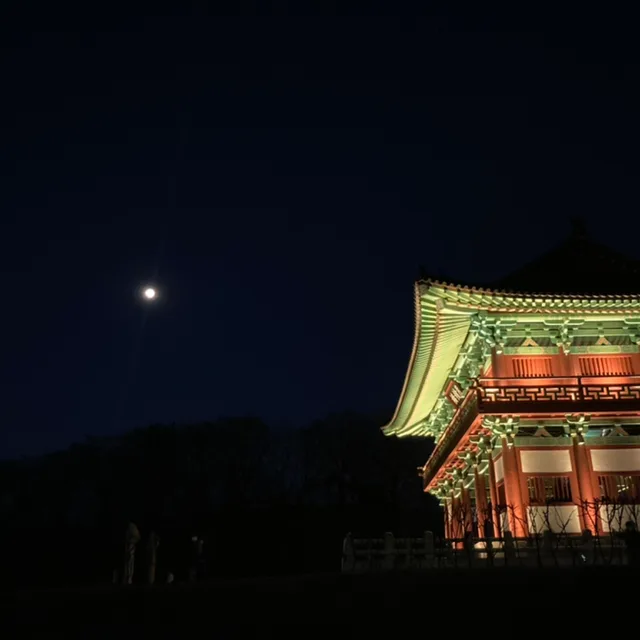당근이지