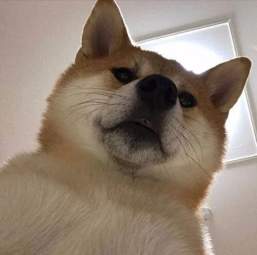 면정학