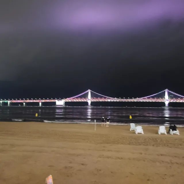 플릇