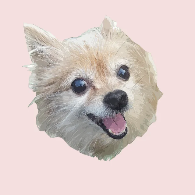 포미네집