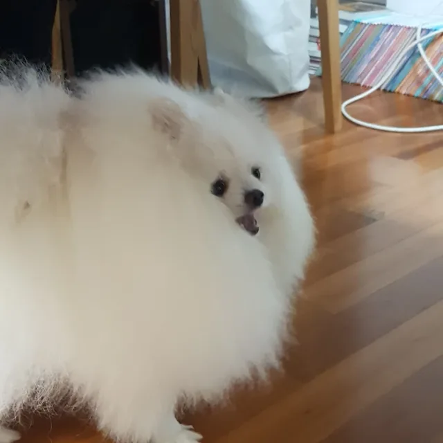백석브라운스톤
