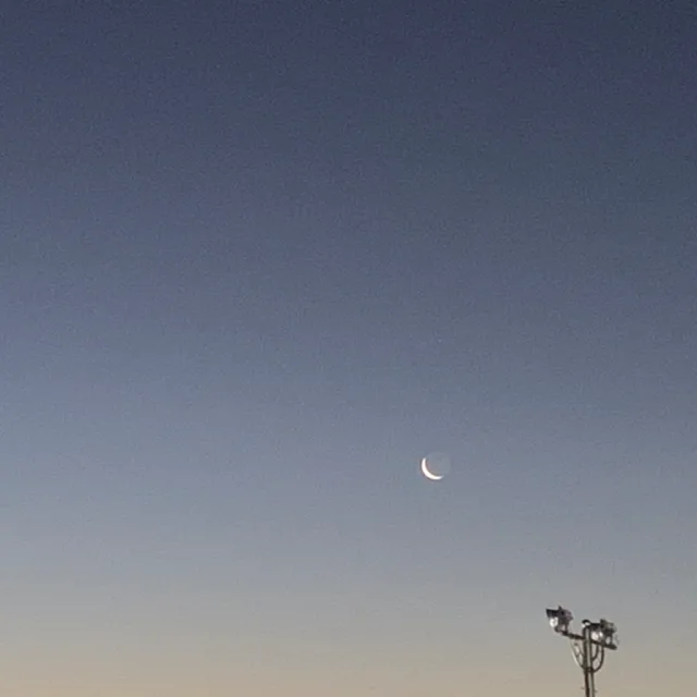 달님