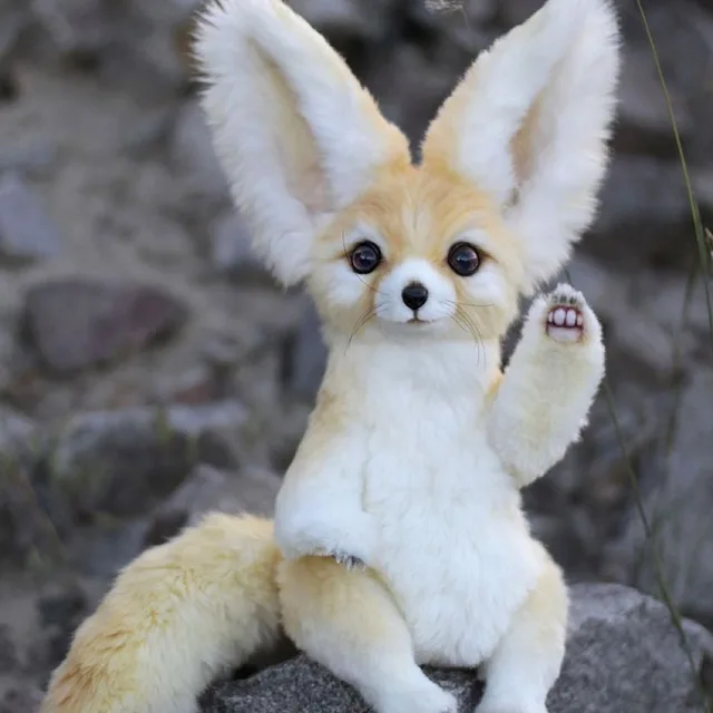 포뇨