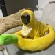 호팔
