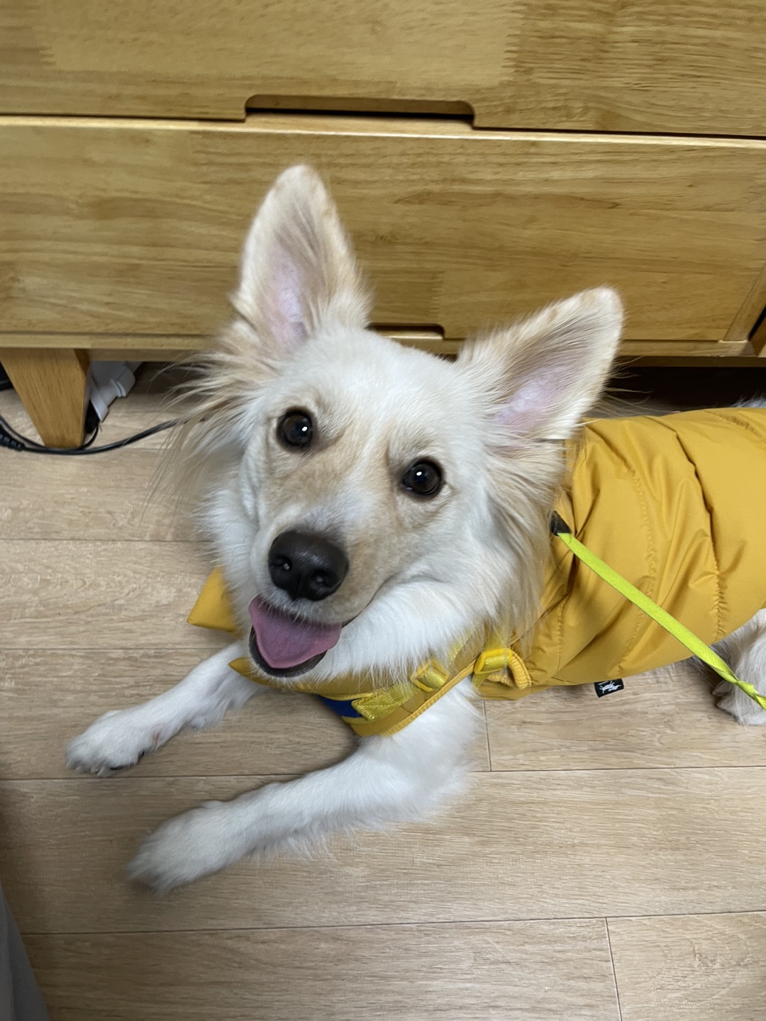 꿍스테이